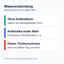 Infografik zur Blasenentzündung nach S3-Leitlinie 2024: bei unkomplizierter Form auch Behandlung ohne Antibiotikum möglich, Antibiotika erster Wahl wie Fosfomycin oder Nitrofurantoin, bei Fieber oder Flankenschmerzen noch am selben Tag ärztliche Hilfe.