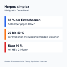 Infografik: Herpes simplex in Deutschland, etwa 88 Prozent der Erwachsenen haben Antikörper gegen HSV-1, bei 20 bis 40 Prozent der Infizierten kehren Bläschen wieder, etwa 10 Prozent sind mit HSV-2 infiziert.