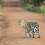 Dr. Henry Testprovider, PhD