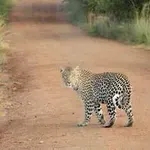 Dr. Henry Testprovider, PhD