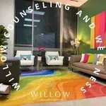 Dr. Willow Counseling & Wellness