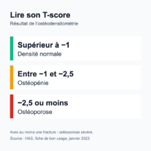 Graphique : interprétation du T-score à l’ostéodensitométrie. Supérieur à −1 : densité normale ; entre −1 et −2,5 : ostéopénie ; −2,5 ou moins : ostéoporose ; avec une fracture : ostéoporose sévère. Source : HAS, 2023.