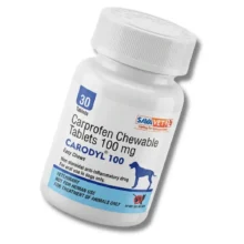 carodyl chewable tablets